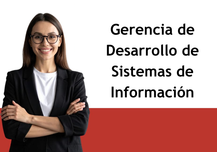 Gerencia de Desarrollo de Sistemas de Información