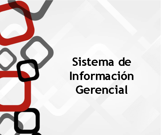 Sistema de información gerencial