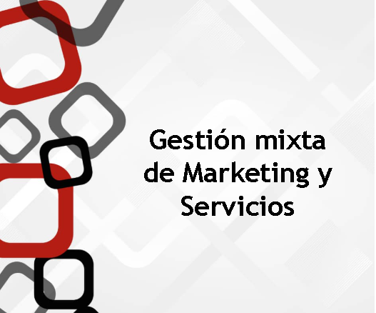 Gestión mixta de marketing y servicios
