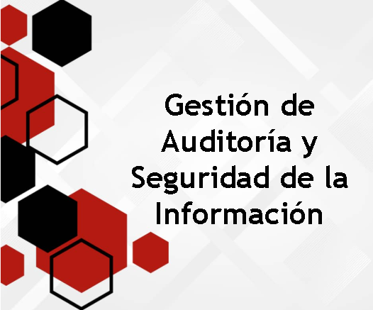 Gestión de auditoría y seguridad de la información