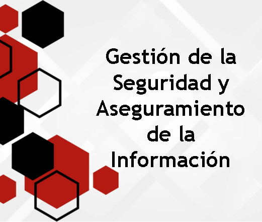 Gestión de la seguridad y aseguramiento de la información