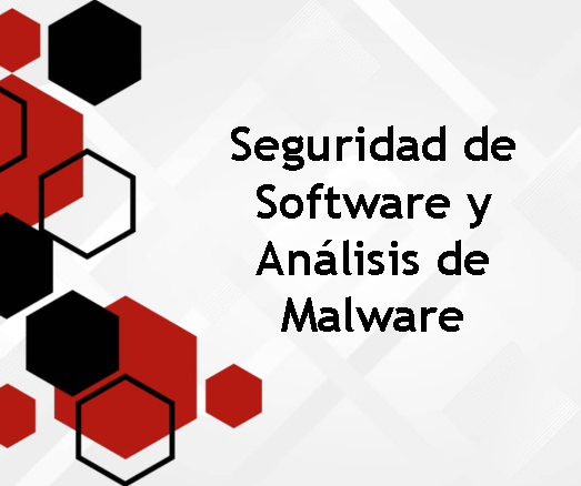 Seguridad de software y análisis de malware