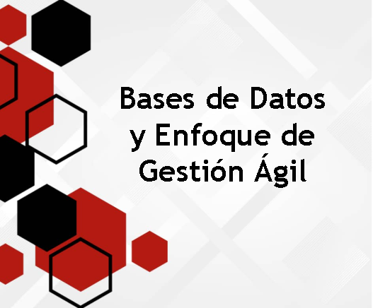 Bases de Datos y  Enfoque de Gestión Ágil
