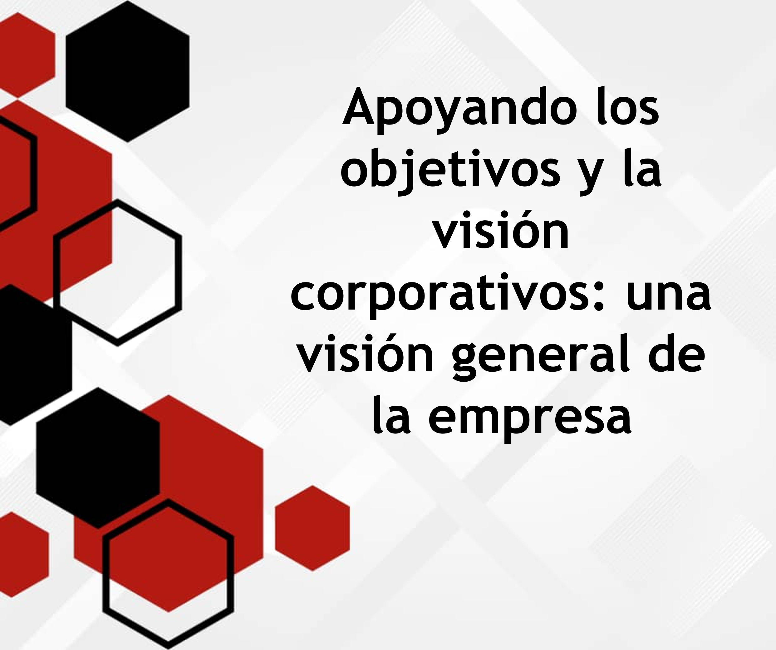 Apoyando los objetivos y la visión corporativos: una visión general de la empresa