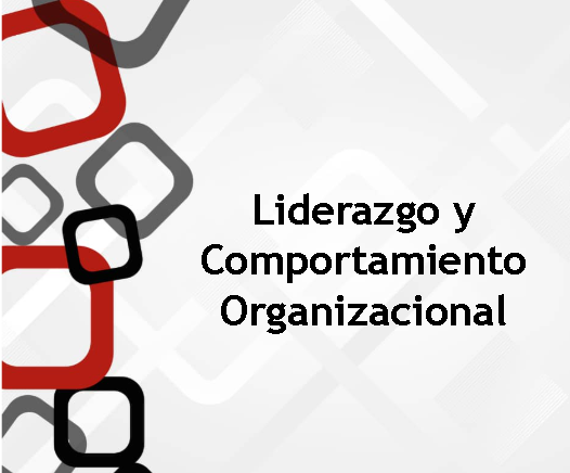 Liderazgo y comportamiento organizacional