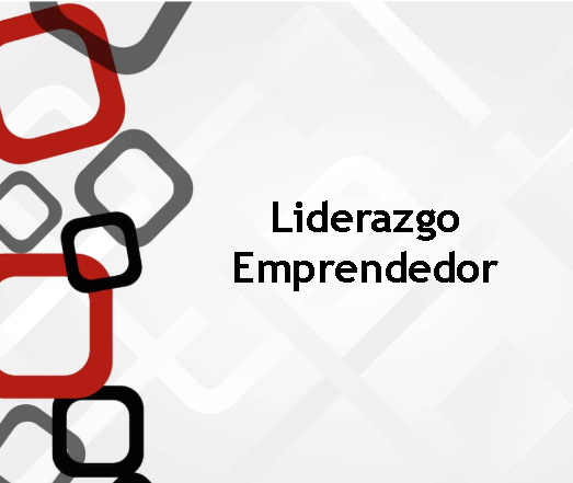 Liderazgo emprendedor
